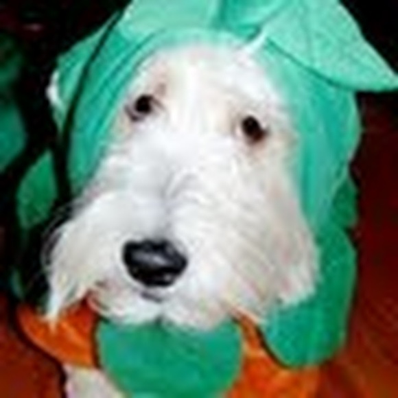 Meet your Posher, Sally - Picture 1 of 1